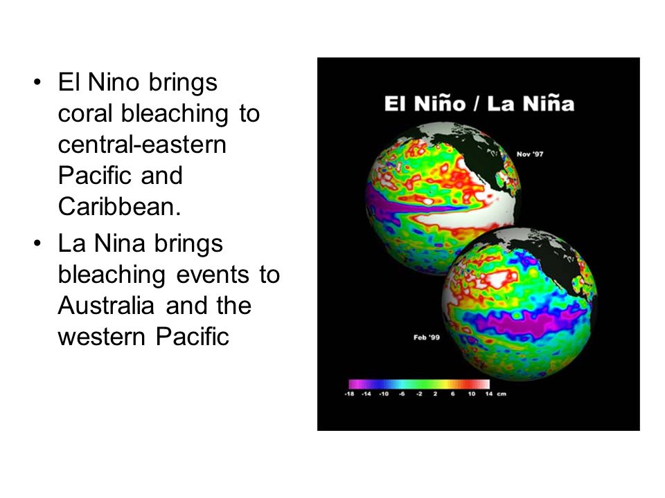 El Nino brings coral bleaching to central-eastern Pacific and Caribbean.