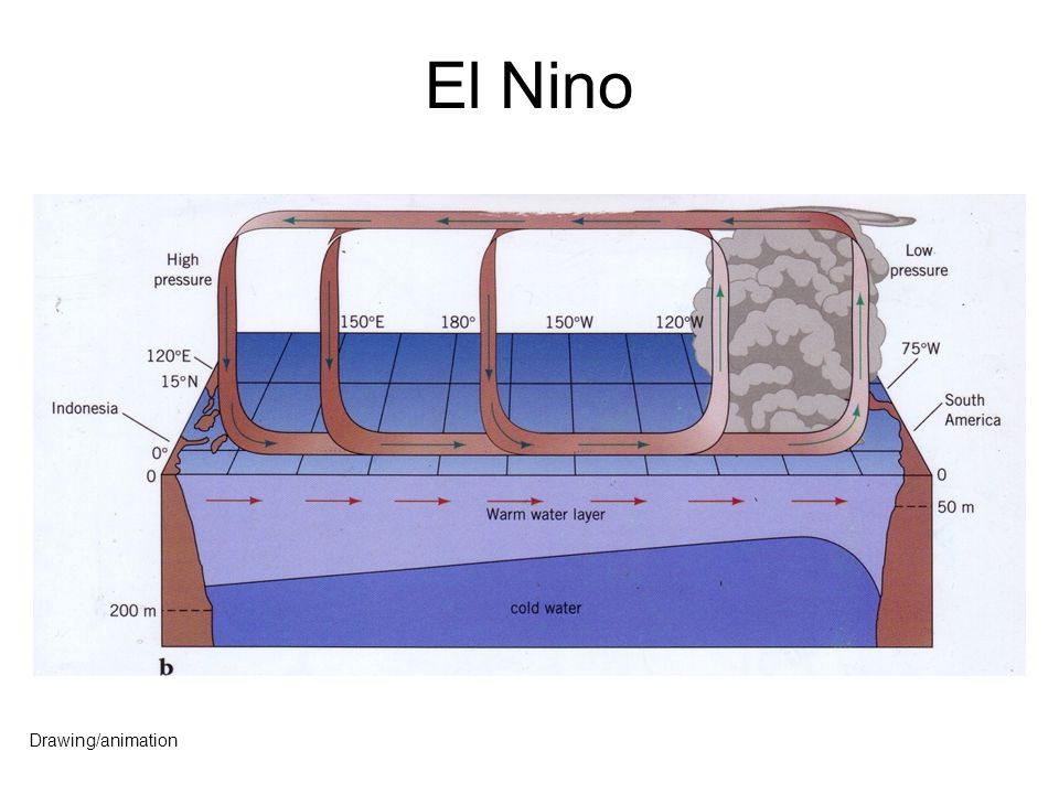 El Nino Drawing/animation