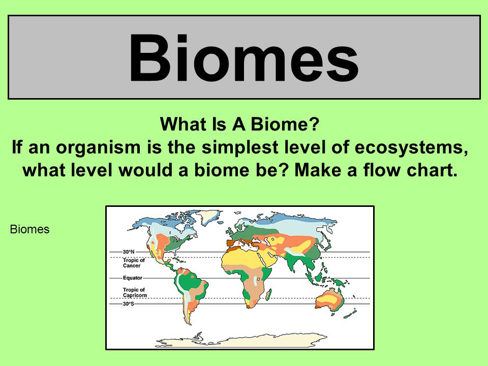 Biomes What Is A Biome If an organism is the simplest level of ecosystems, what level would a biome be Make a flow chart.