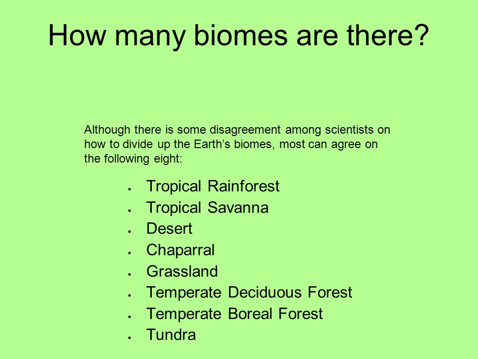 How many biomes are there