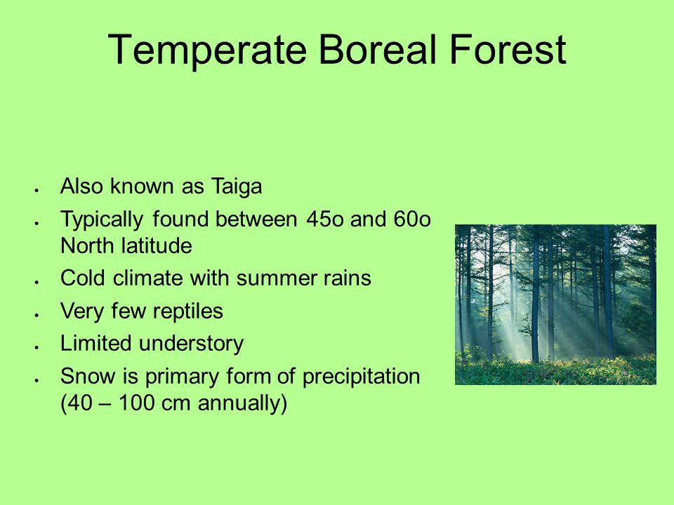 Temperate Boreal Forest