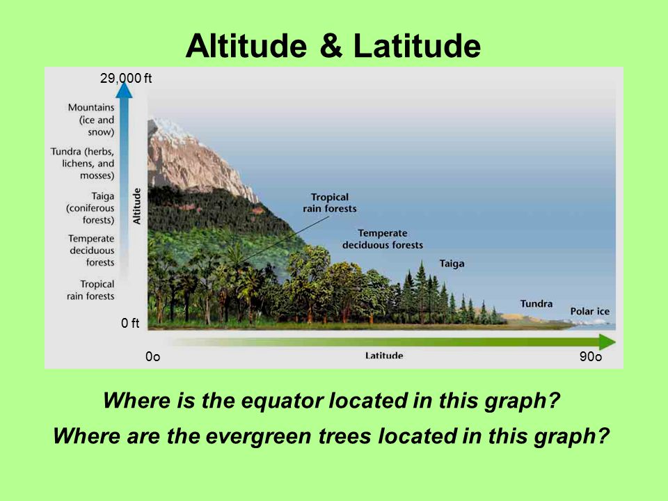 Altitude & Latitude Where is the equator located in this graph