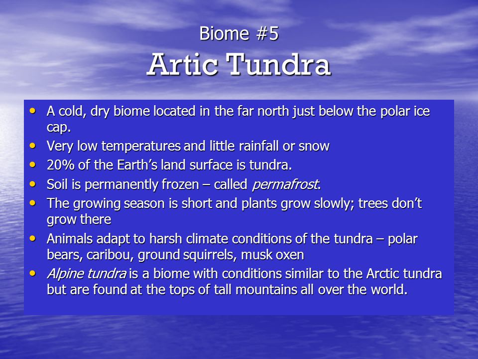 Biome #5 Artic Tundra A cold, dry biome located in the far north just below the polar ice cap. Very low temperatures and little rainfall or snow.
