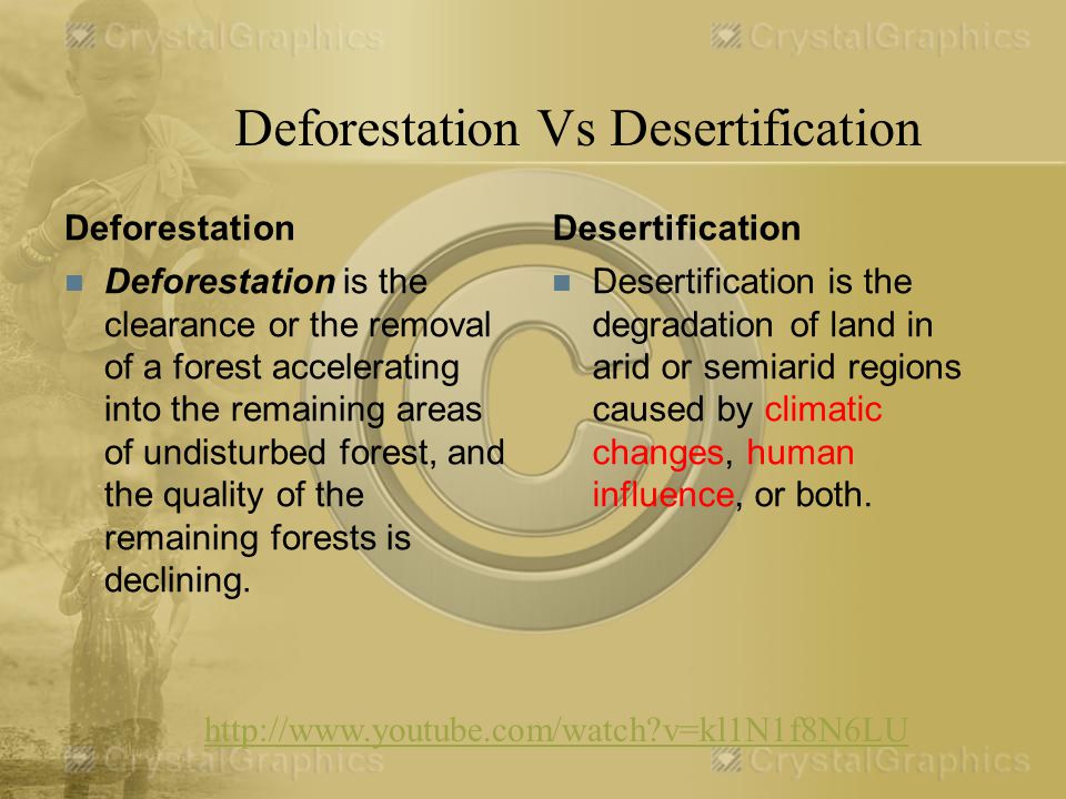 Deforestation Vs Desertification