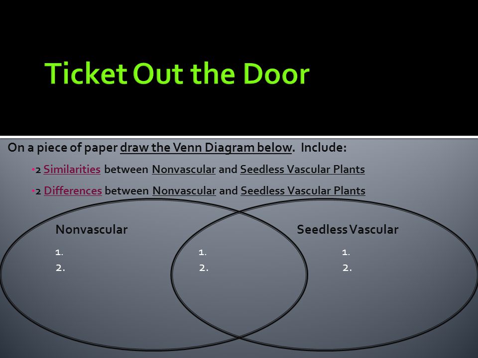 Ticket Out the Door On a piece of paper draw the Venn Diagram below. Include: 2 Similarities between Nonvascular and Seedless Vascular Plants.