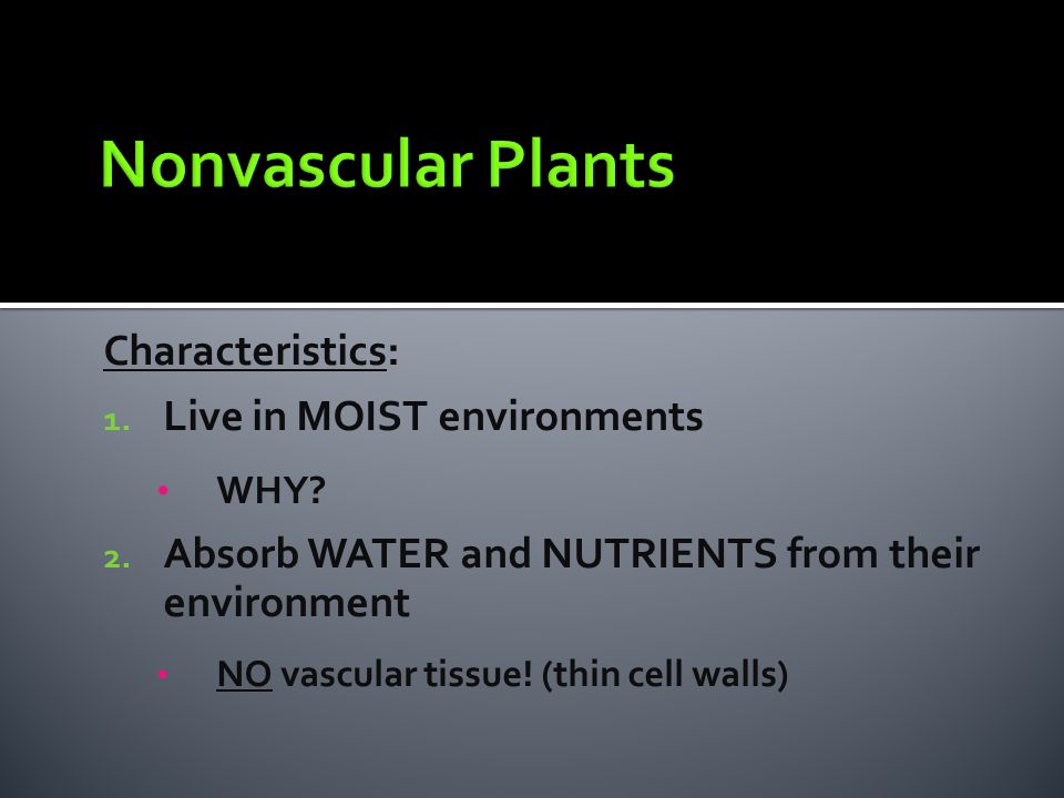Nonvascular Plants Characteristics: Live in MOIST environments