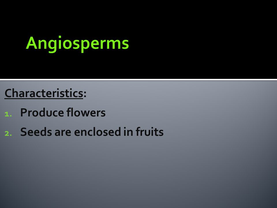 Angiosperms Characteristics: Produce flowers