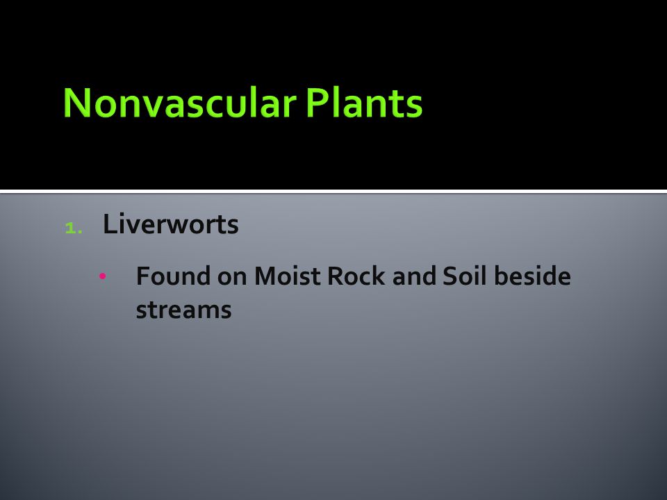 Nonvascular Plants Liverworts