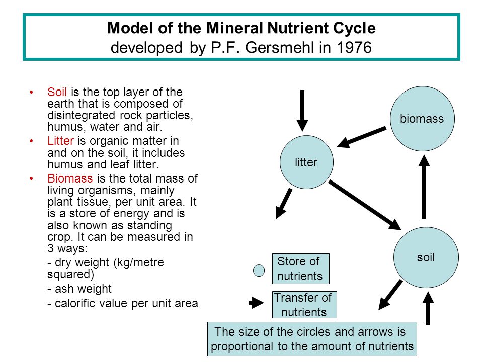 Model Of The Mineral Nutrient Cycle Developed By P F