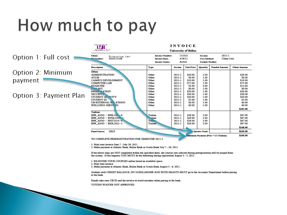 How much to pay Option 1: Full cost Option 2: Minimum payment