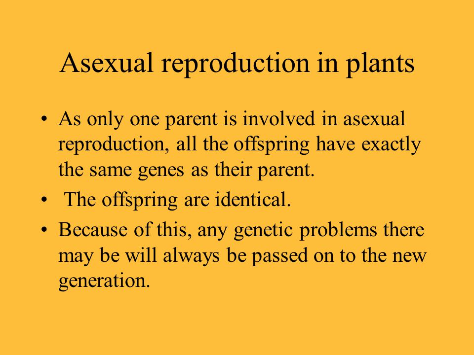 Asexual reproduction in plants