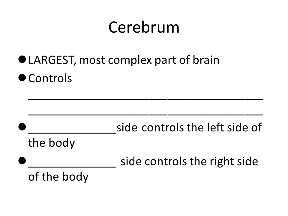 Cerebrum LARGEST, most complex part of brain