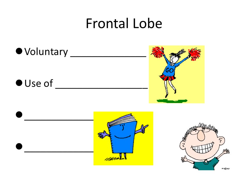 Frontal Lobe Voluntary ______________ Use of _________________