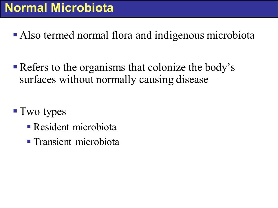 Normal Microbiota Also termed normal flora and indigenous microbiota