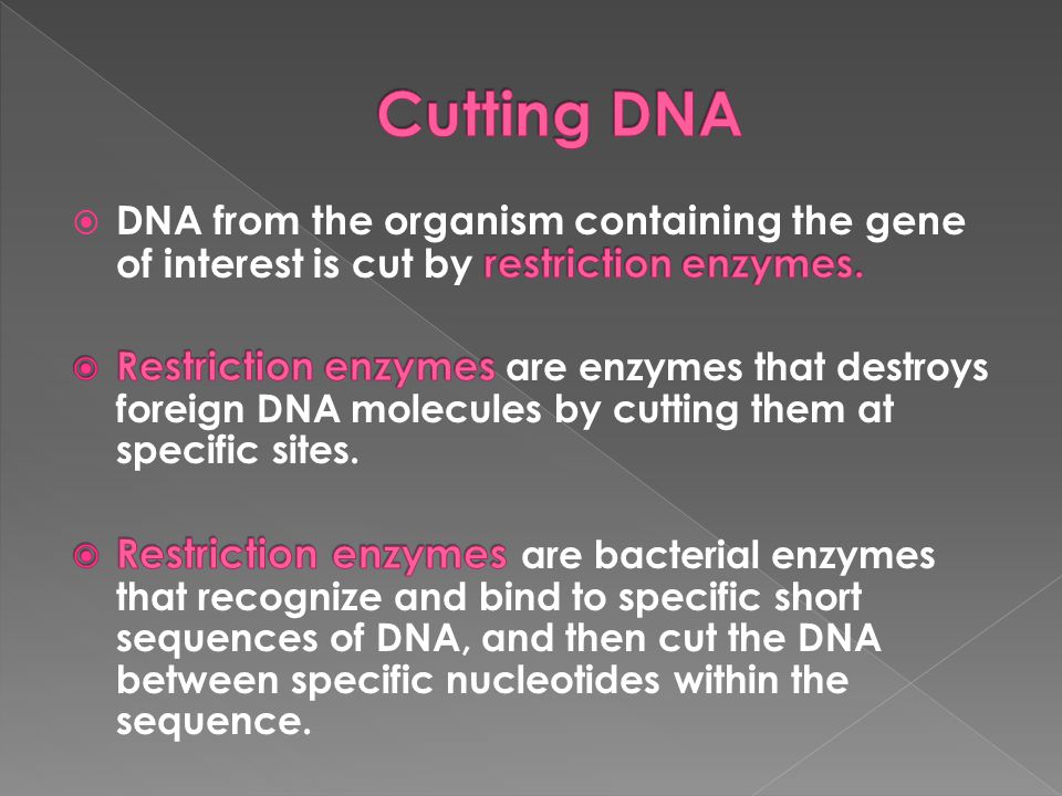 Cutting DNA DNA from the organism containing the gene of interest is cut by restriction enzymes.