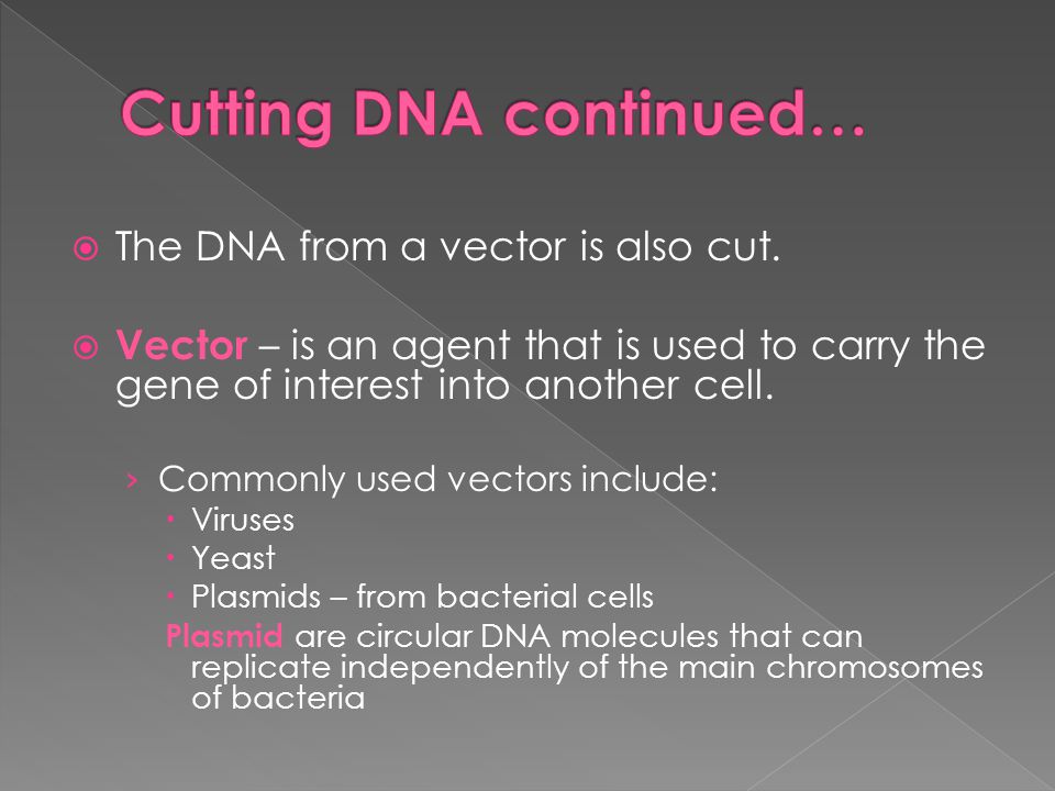 Cutting DNA continued…