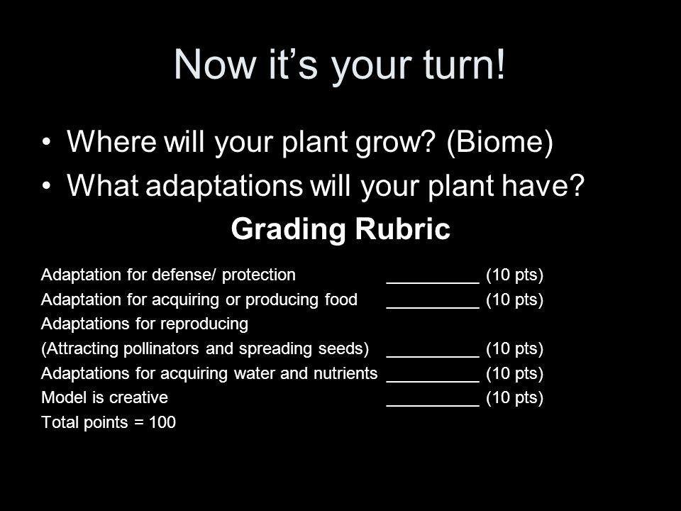 Now it’s your turn! Where will your plant grow (Biome)