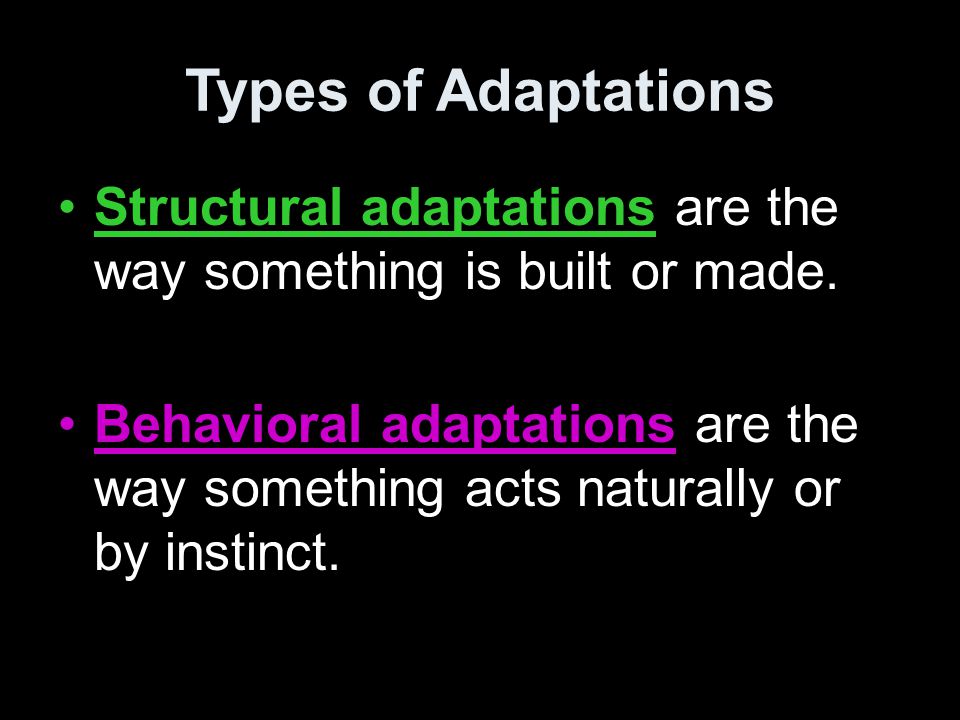 Types of Adaptations Structural adaptations are the way something is built or made.