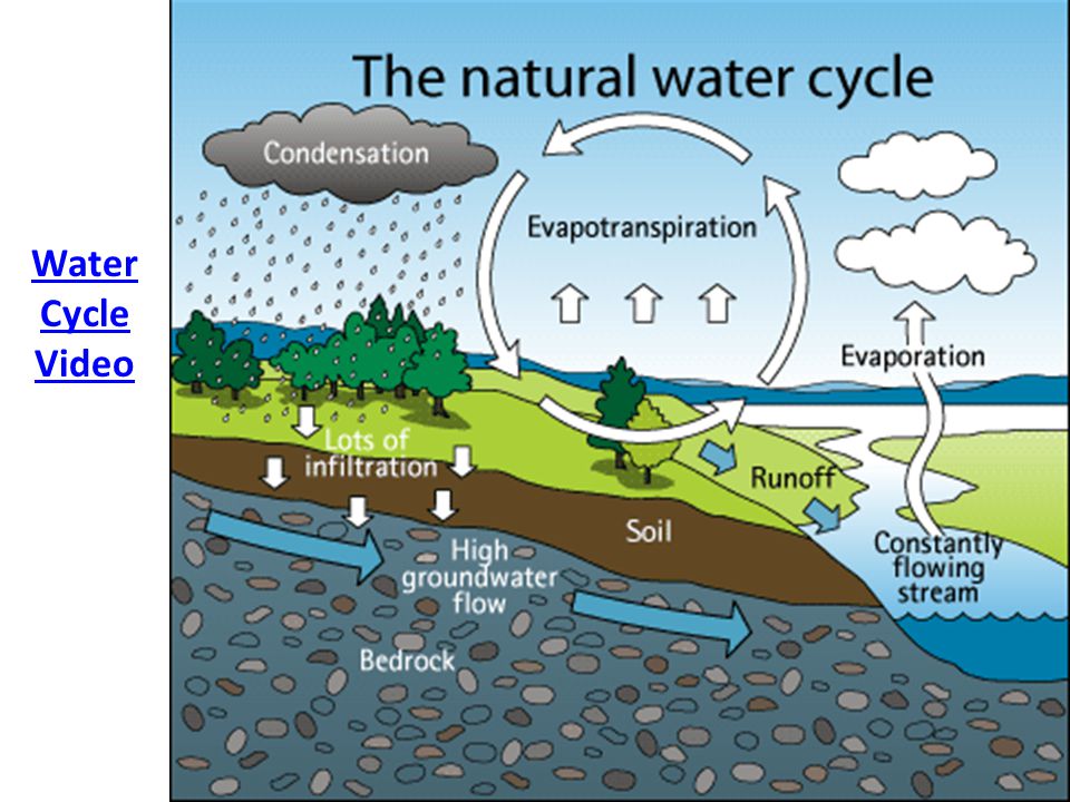 Water Cycle Video