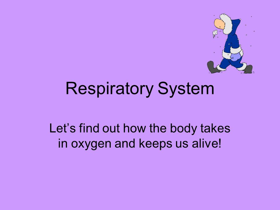 Let’s find out how the body takes in oxygen and keeps us alive!