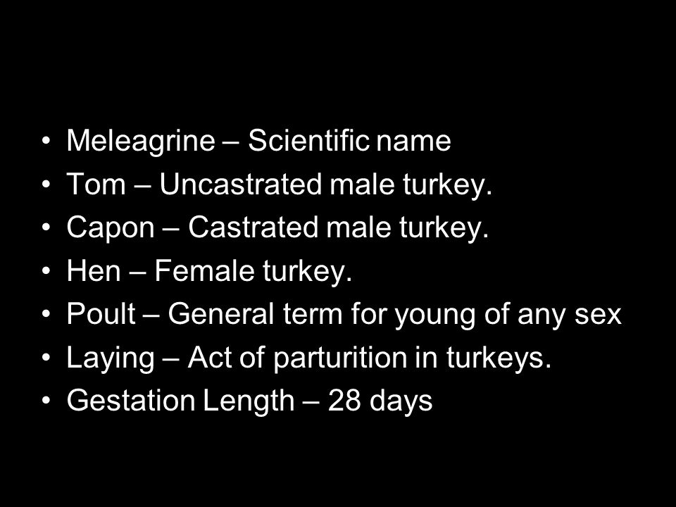Meleagrine – Scientific name