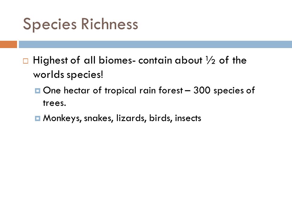 Species Richness Highest of all biomes- contain about ½ of the worlds species! One hectar of tropical rain forest – 300 species of trees.