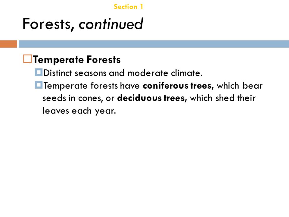 Forests, continued Temperate Forests Chapter 21