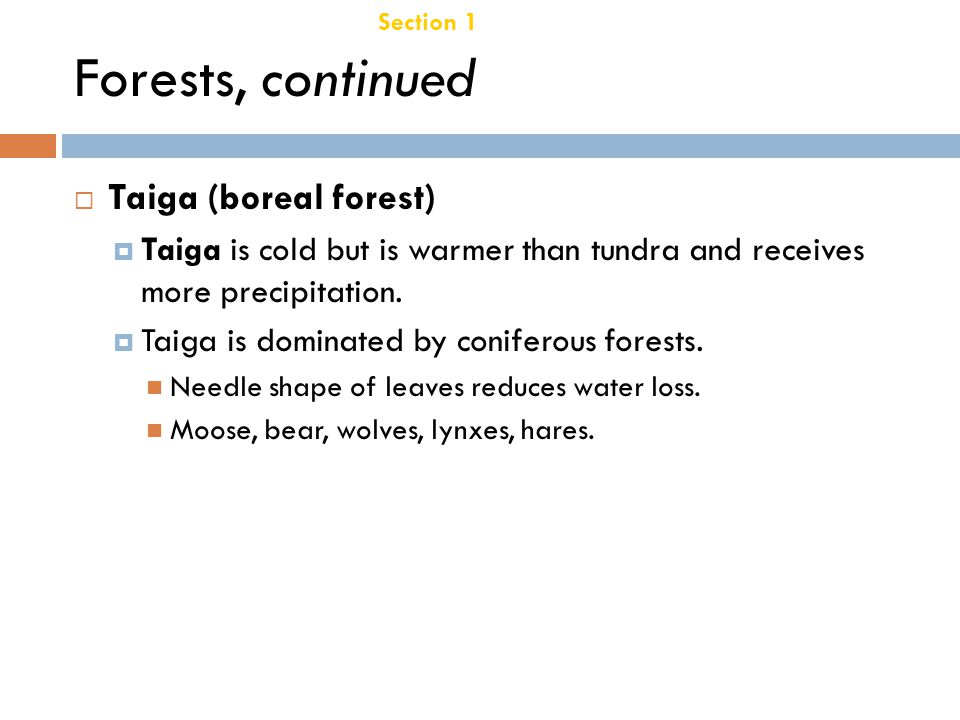 Forests, continued Taiga (boreal forest) Chapter 21