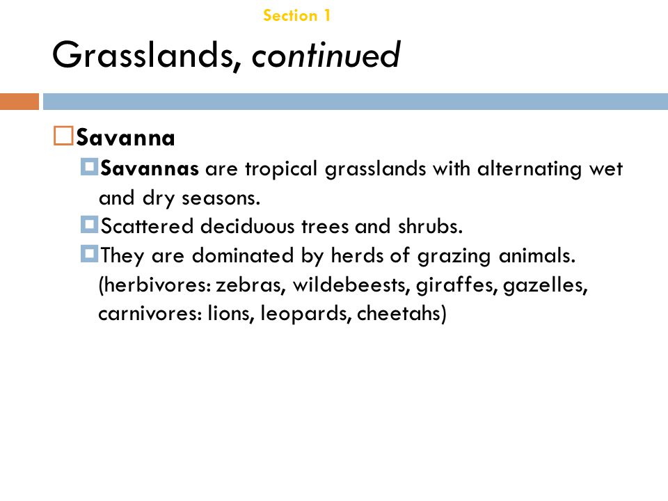 Grasslands, continued Savanna Chapter 21