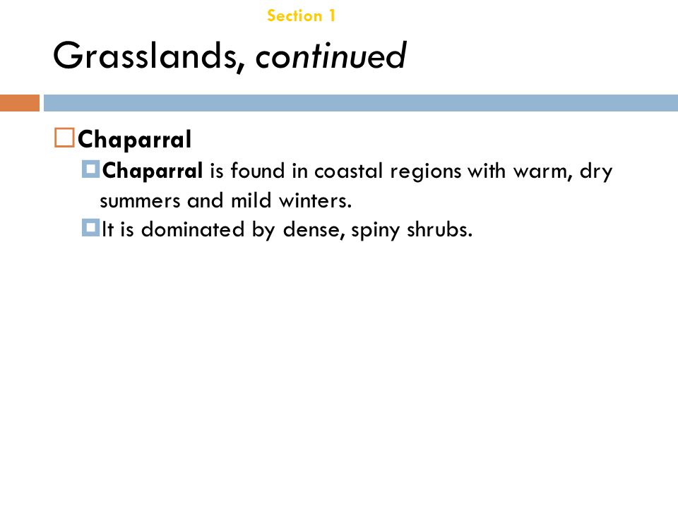 Grasslands, continued Chaparral Chapter 21