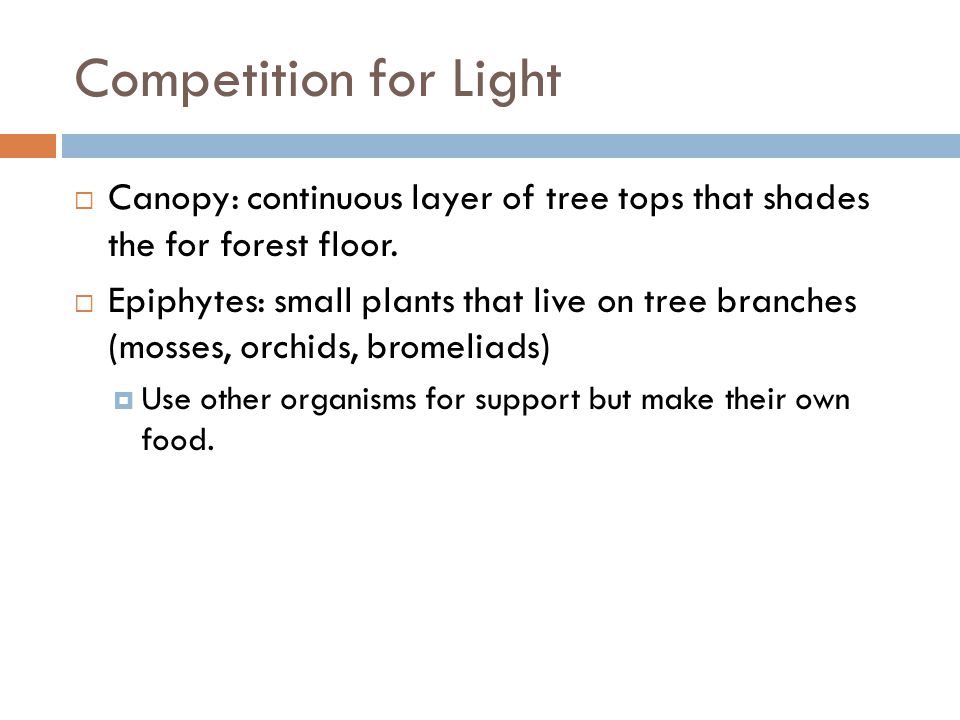 Competition for Light Canopy: continuous layer of tree tops that shades the for forest floor.