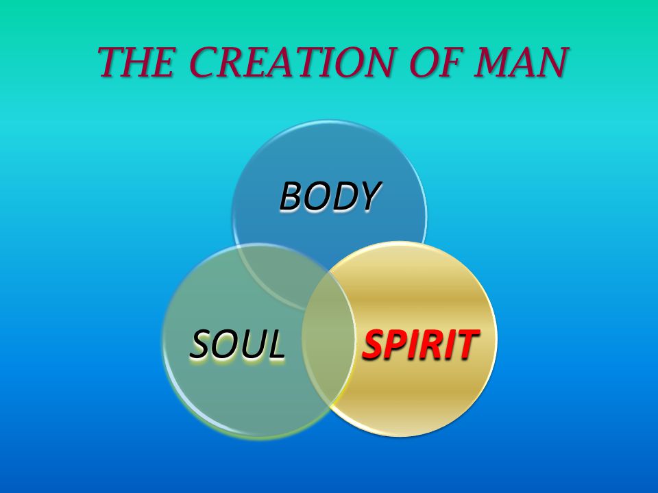 THE CREATION OF MAN BODY SPIRIT SOUL