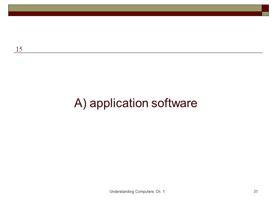 A) application software