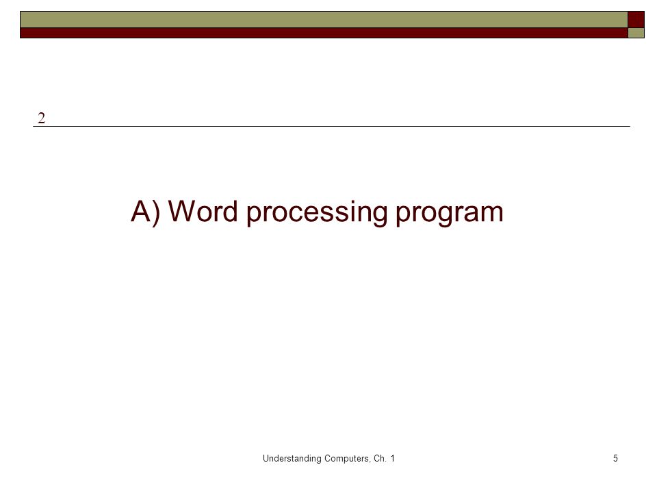 A) Word processing program