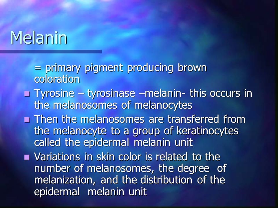 Melanin = primary pigment producing brown coloration