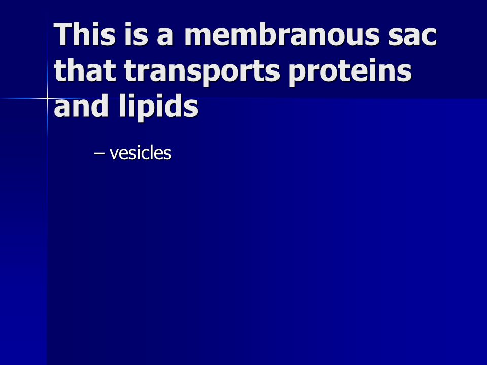 This is a membranous sac that transports proteins and lipids