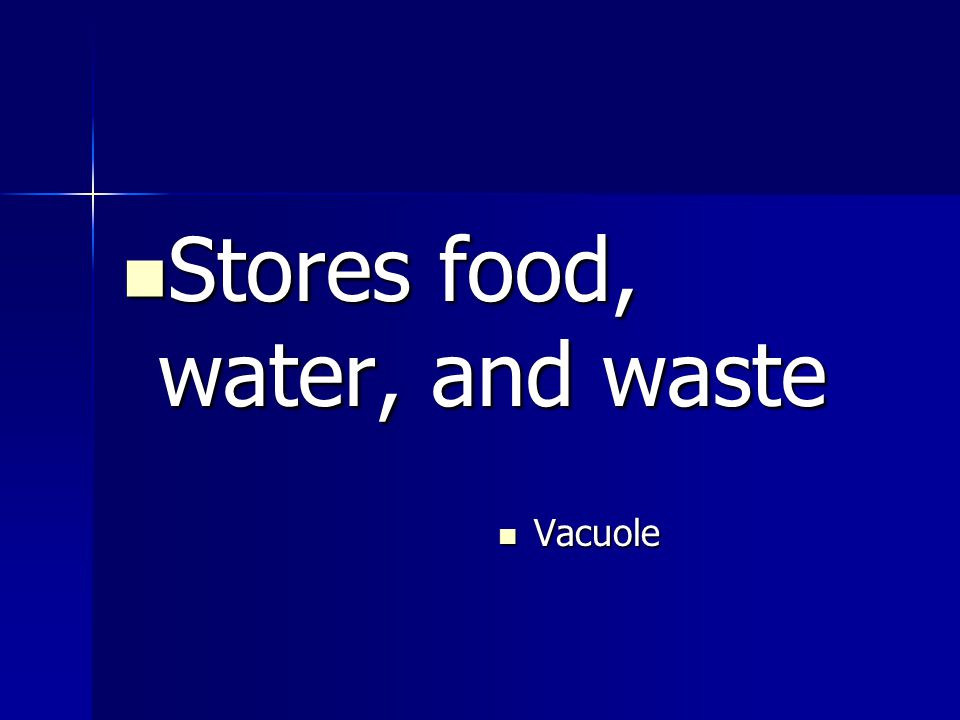 Stores food, water, and waste