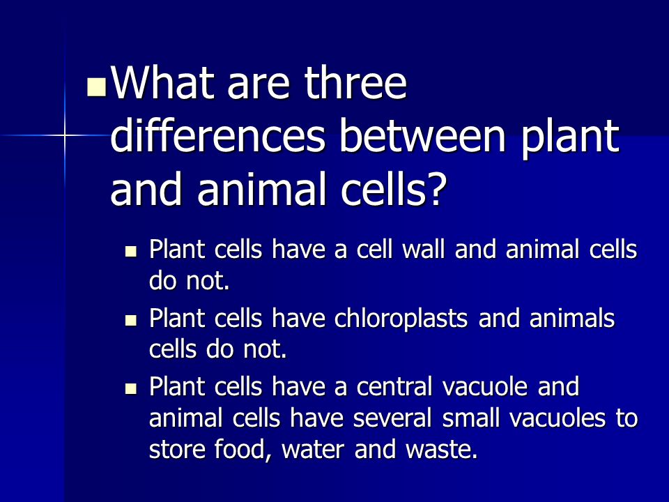 What are three differences between plant and animal cells
