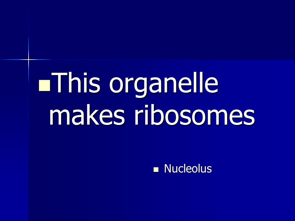 This organelle makes ribosomes