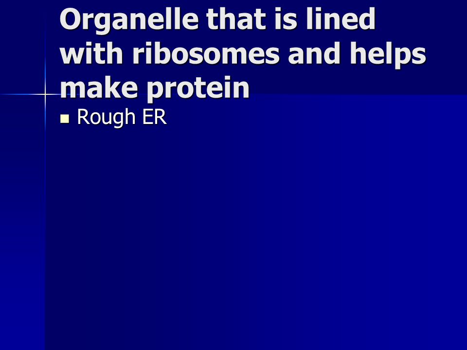 Organelle that is lined with ribosomes and helps make protein