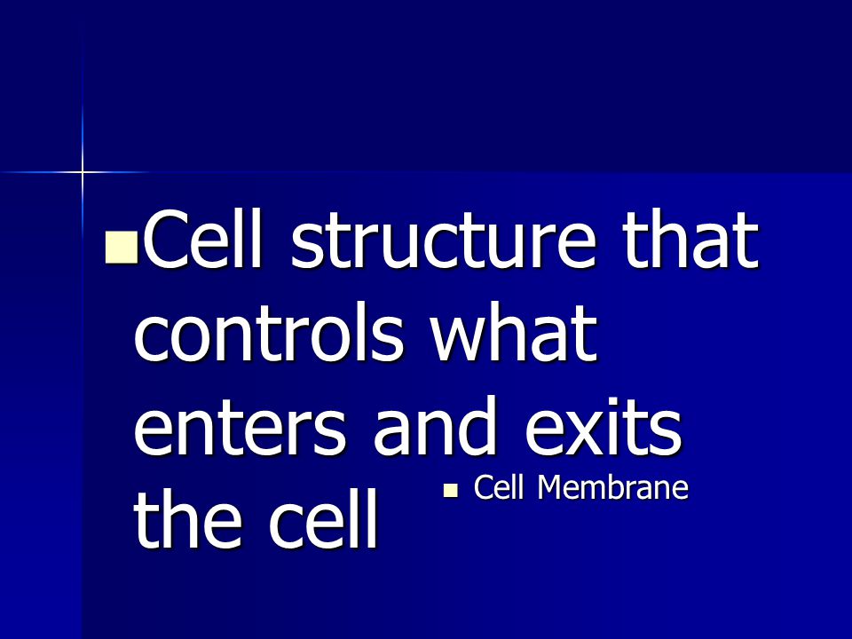 Cell structure that controls what enters and exits the cell