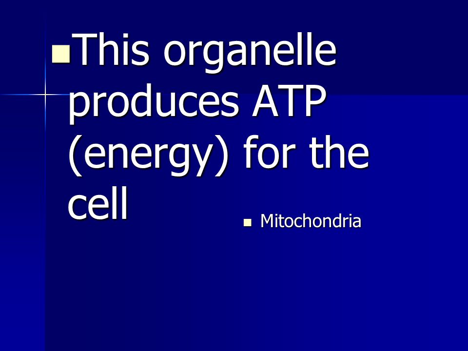 This organelle produces ATP (energy) for the cell