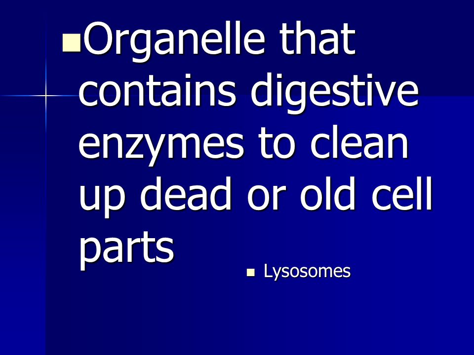 Organelle that contains digestive enzymes to clean up dead or old cell parts