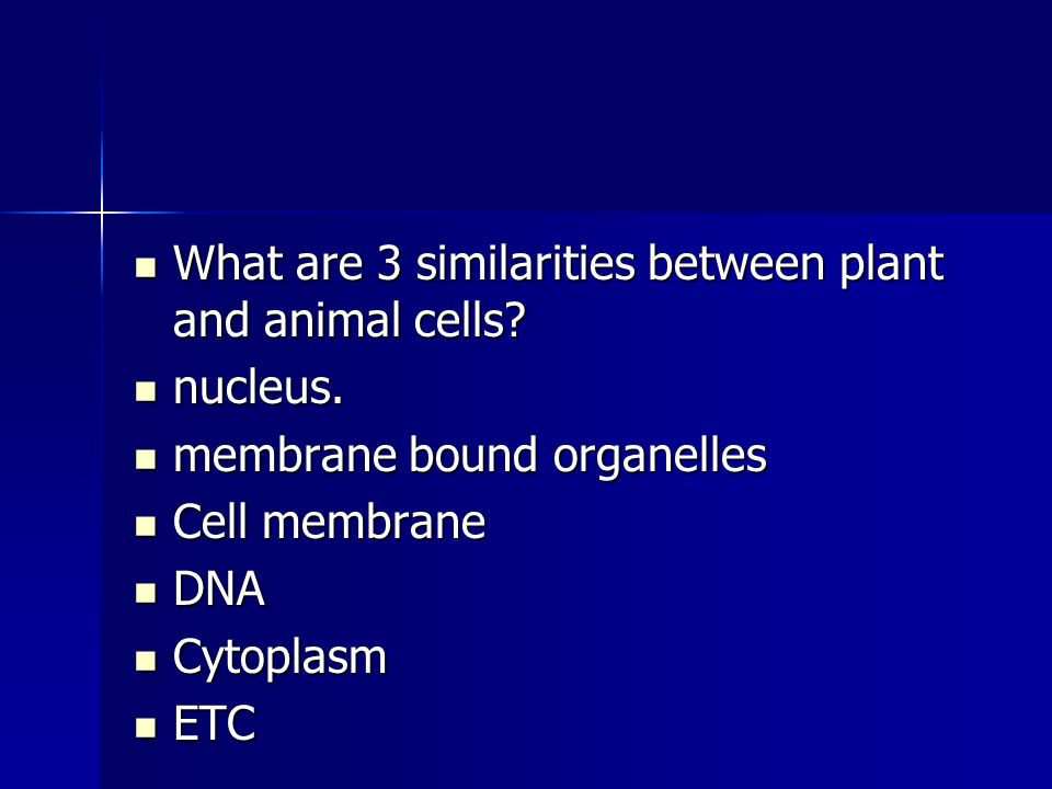 What are 3 similarities between plant and animal cells