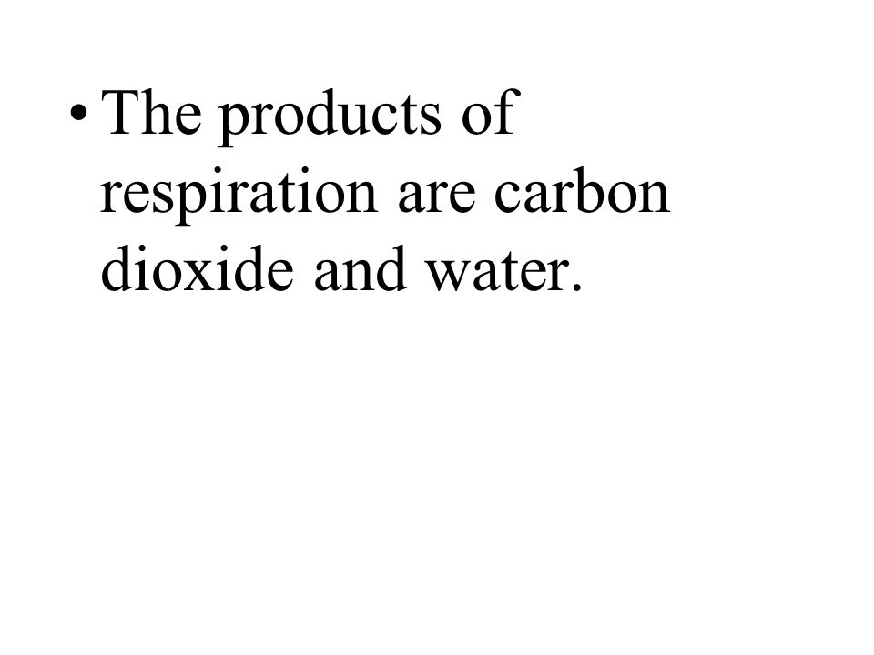 The products of respiration are carbon dioxide and water.