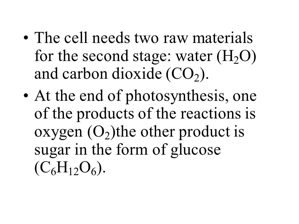 The cell needs two raw materials for the second stage: water (H2O) and carbon dioxide (CO2).