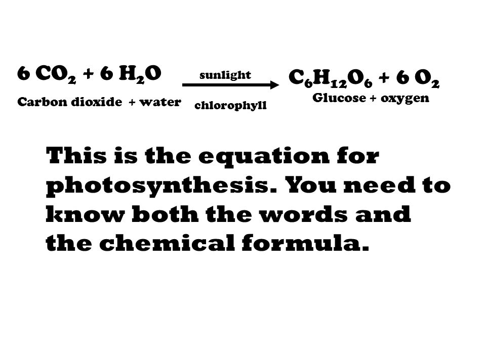 6 CO2 + 6 H2O Carbon dioxide + water. sunlight. chlorophyll. C6H12O6 + 6 O2. Glucose + oxygen.