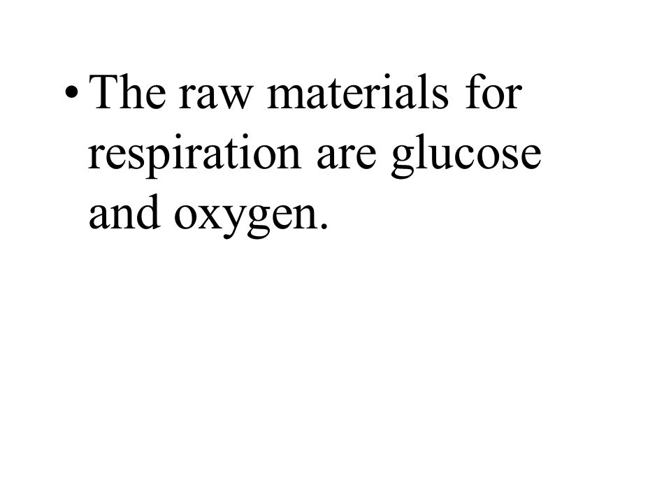 The raw materials for respiration are glucose and oxygen.