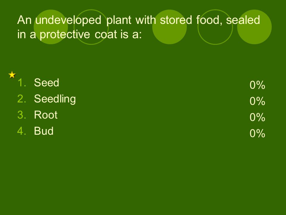 An undeveloped plant with stored food, sealed in a protective coat is a:
