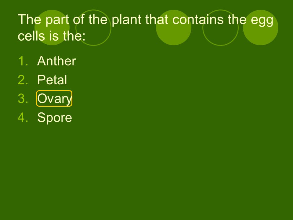 The part of the plant that contains the egg cells is the: